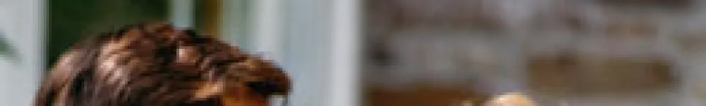 8 Schritte zu einem erfolgreichen ersten Date